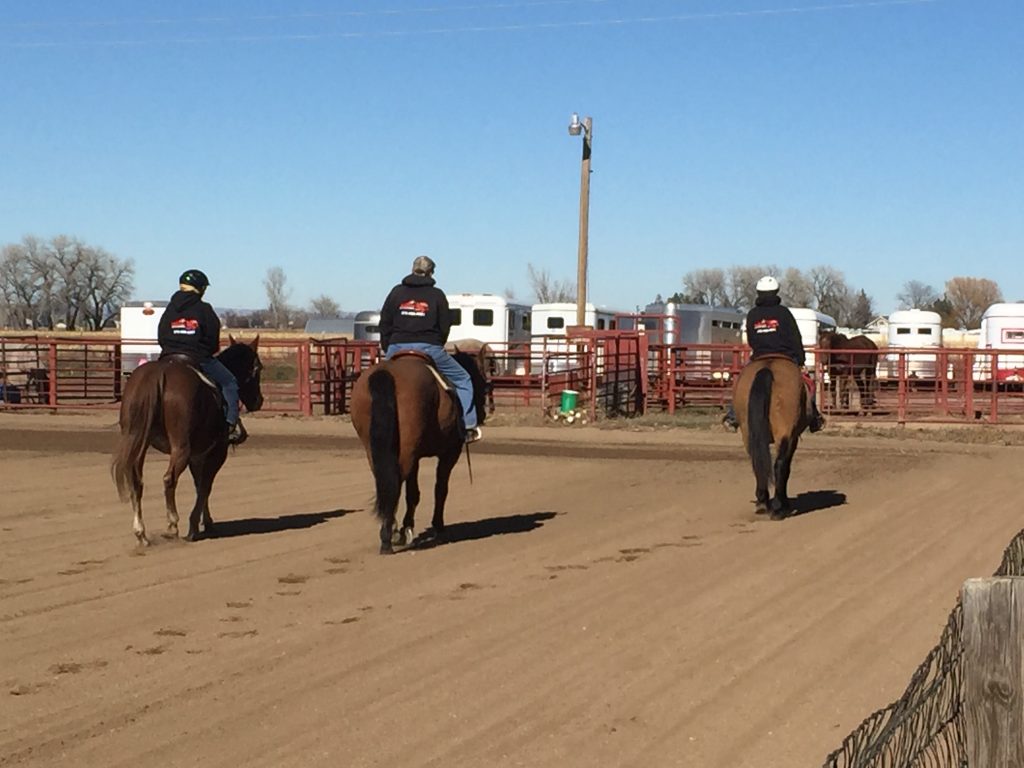 IMG_0419 Mountain View Ranch & Stables