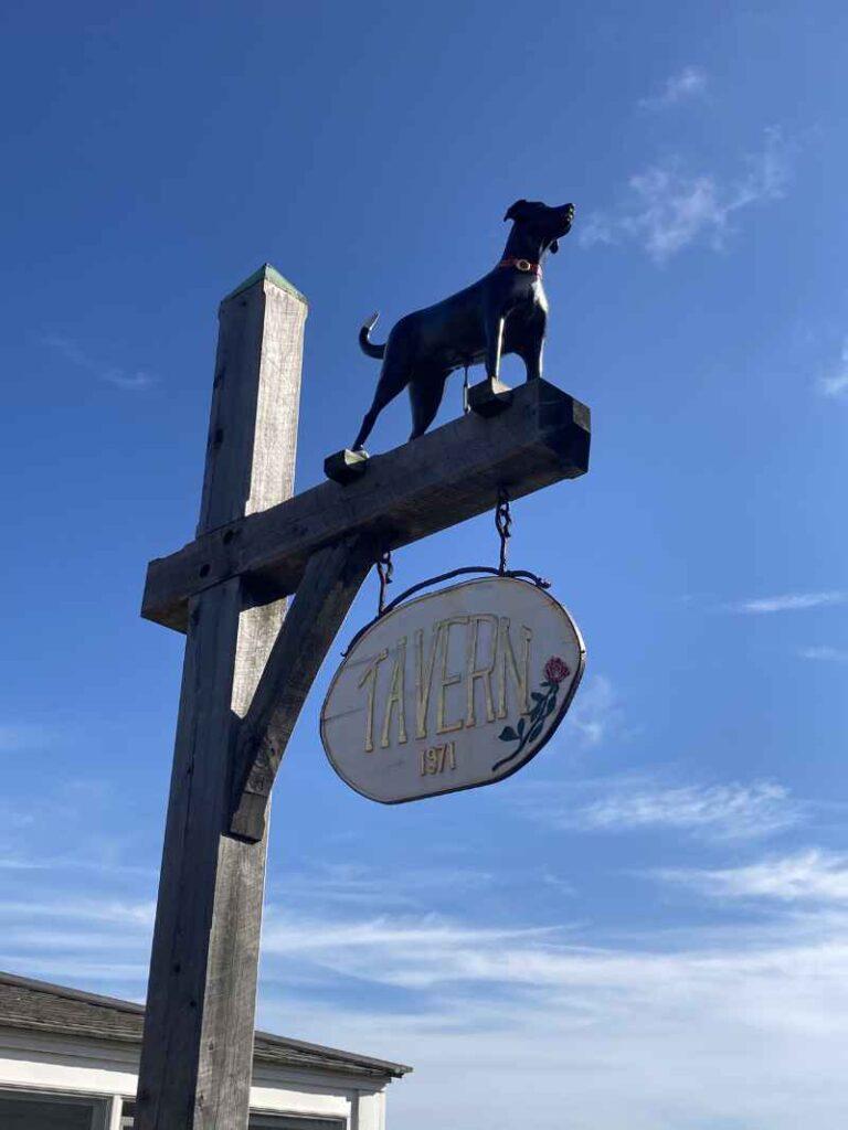 Is Vineyard Haven a Dry Town? Liquor Laws on The Vineyard