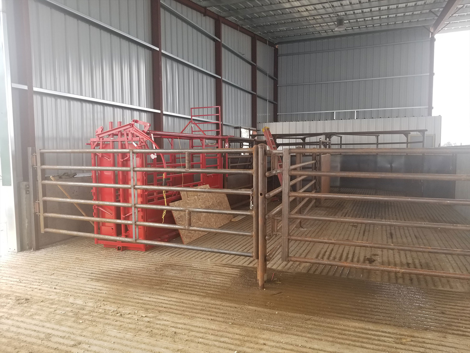 Cattle Handling Facilities Midwest Beef Systems
