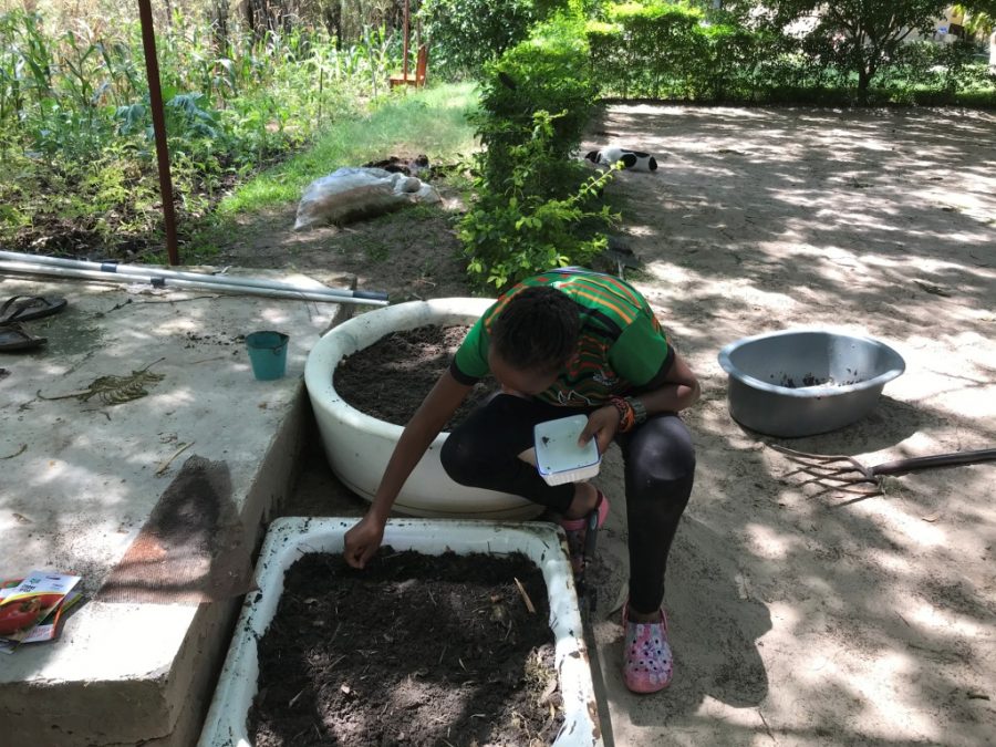 Protecting Lives in Zambia MWiB