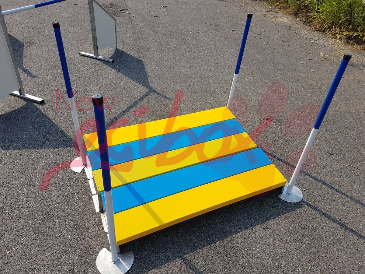 Agility Dog Specialisti del Box