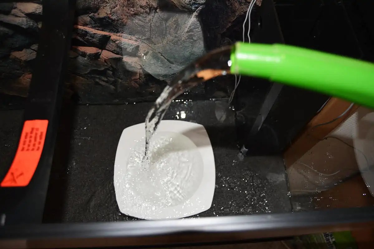 Das Aquarium einrichten Schritt für Schritt erklärt myfish Aus