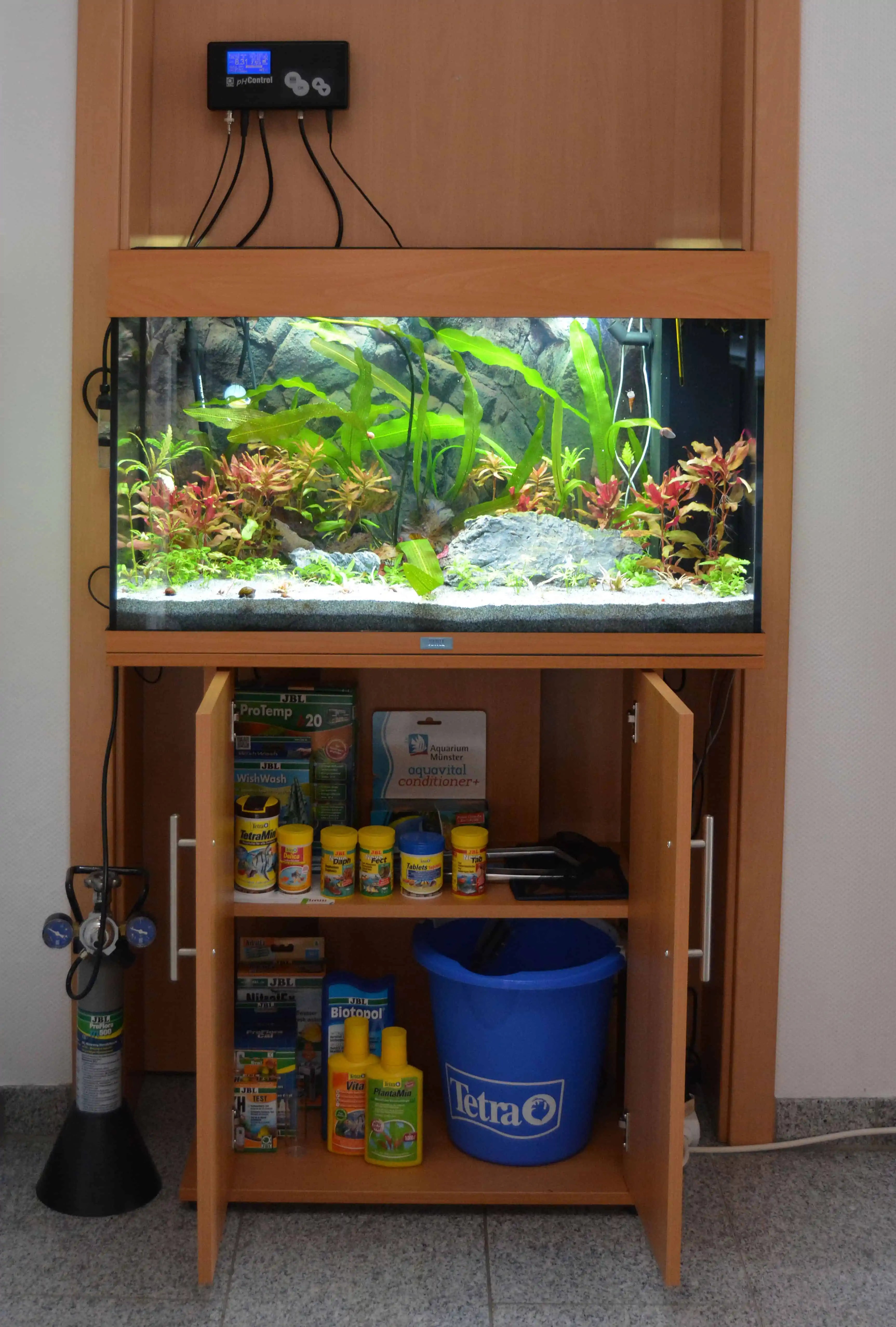 Das Aquarium einrichten Schritt für Schritt erklärt myfish Aus