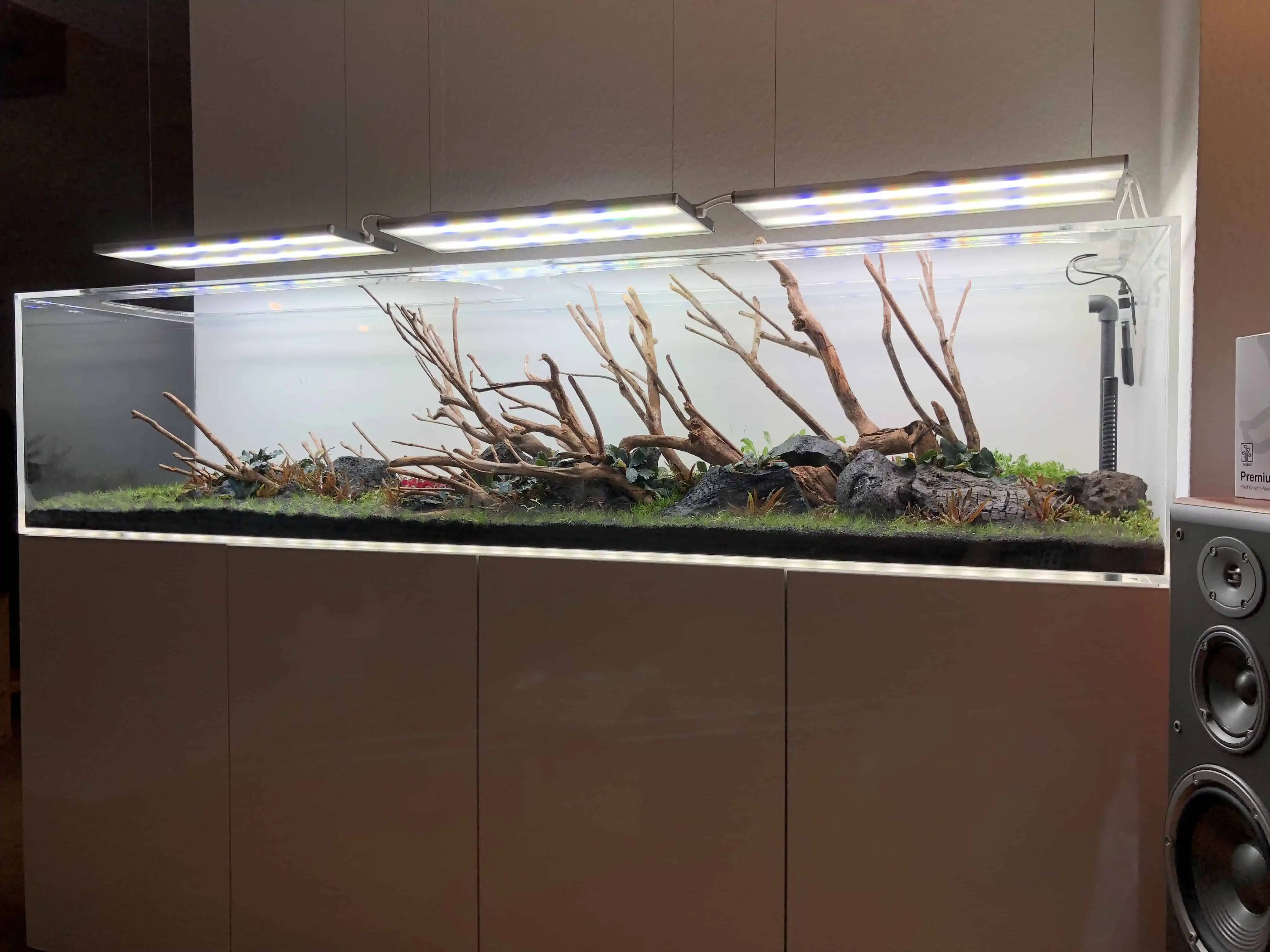 156 Das XXL Aquarium und das UFO (izzi Deutscher