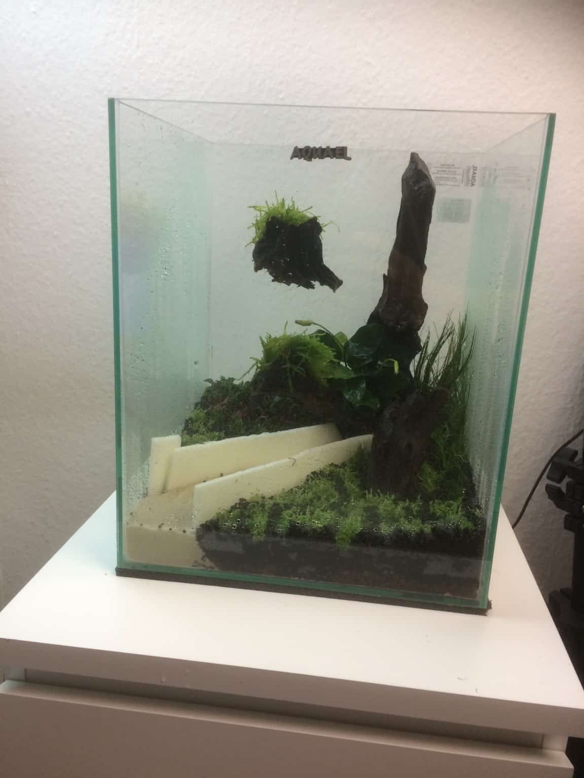 myfish (Aus Freude an der Aquaristik Podcast)