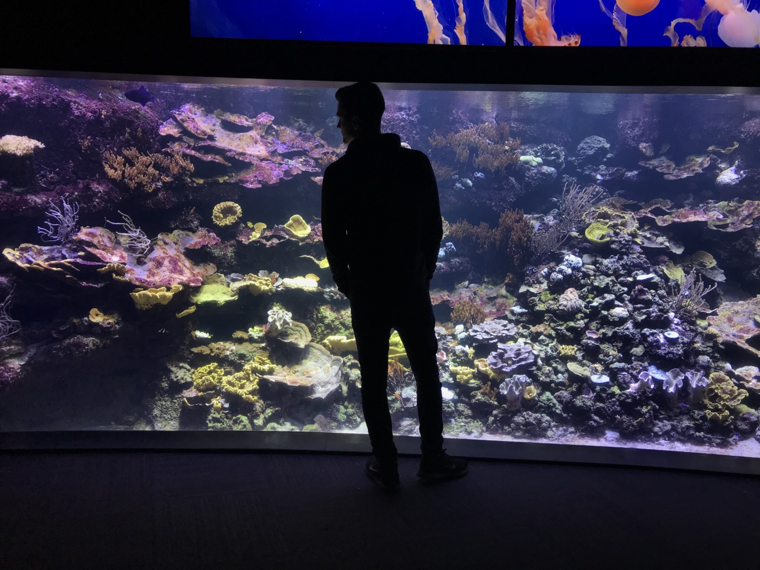 myfish (Aus Freude an der Aquaristik Podcast)