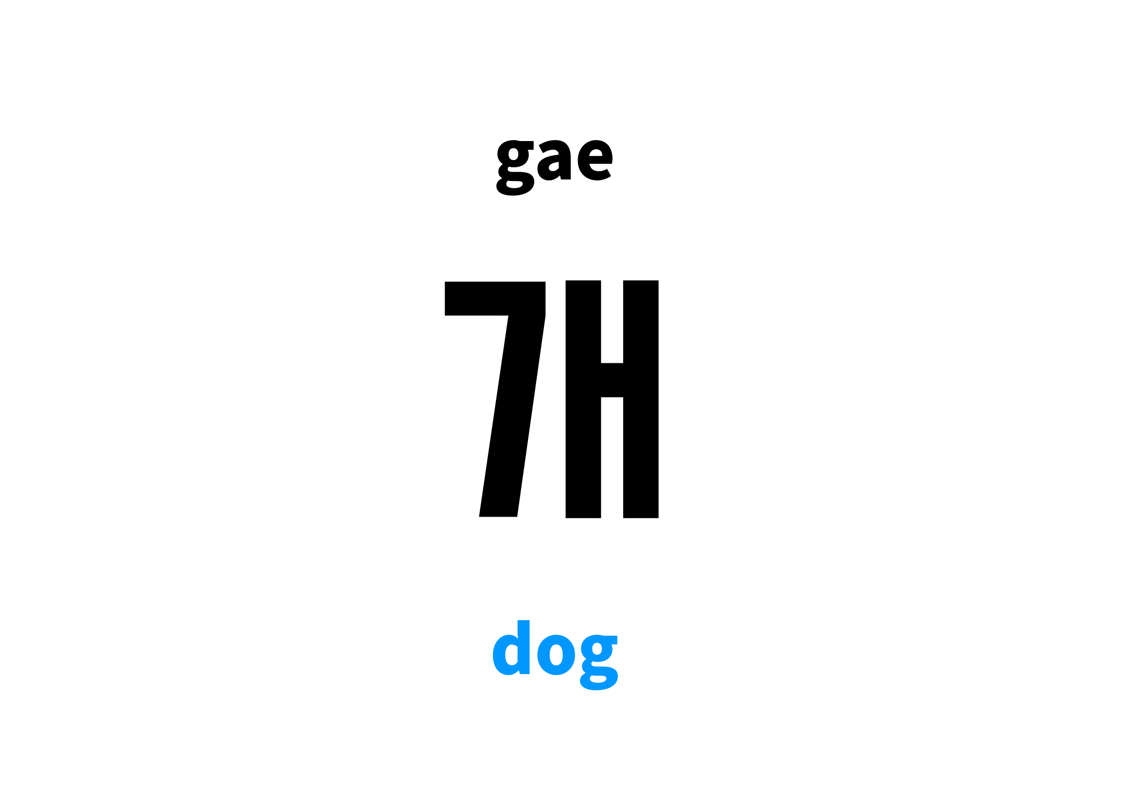 Dog in Korean 개's meaning and pronunciation
