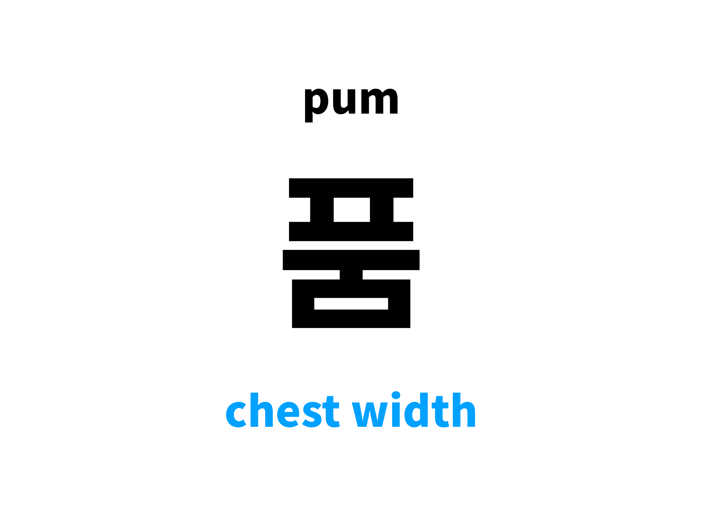 chest width in Korean 품's meaning and pronunciation