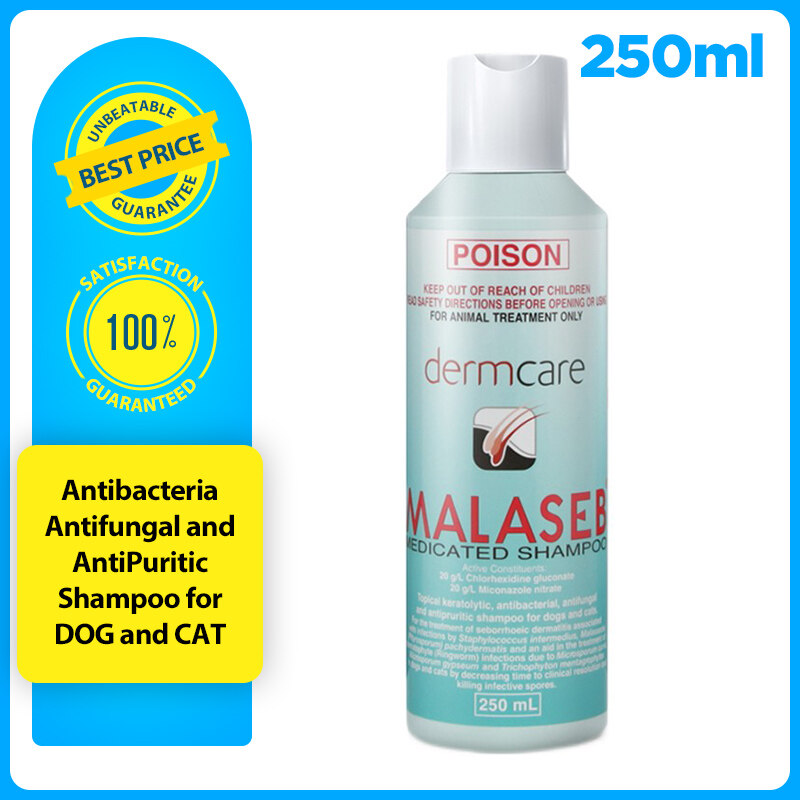 Malaseb Dog Shampoo Petbarn at Jason Voris blog