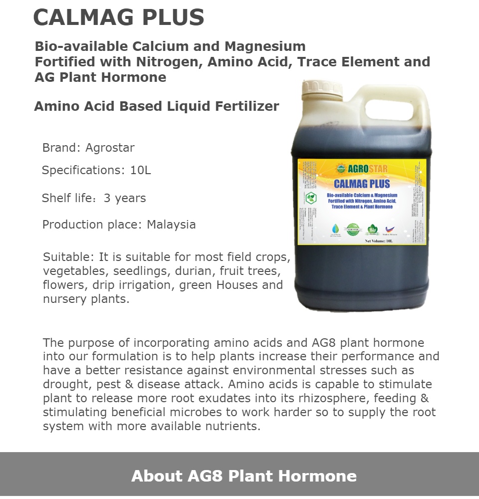 CALMAG PLUS Bioavailable Calcium and Magnesium Fortified with