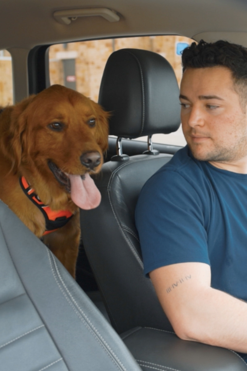 Can Service Dogs Help With PTSD? American Service Pets