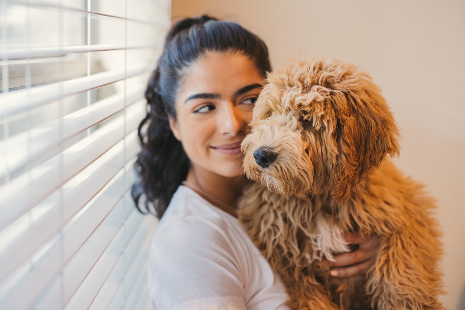 Certification For An Emotional Support Animal In Minnesota