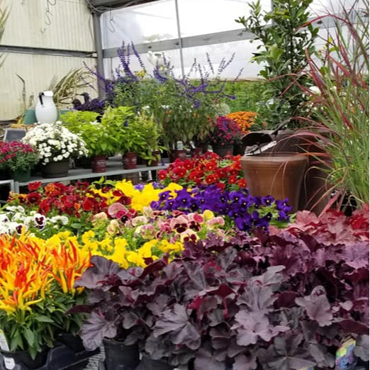 BizX Zenith Holland Gardens