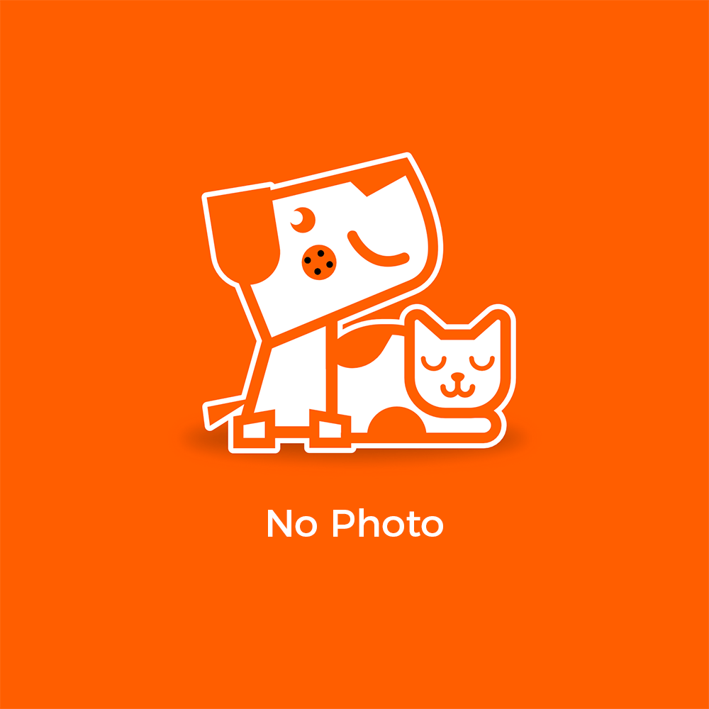 Nova BuddyBadge Pet Profile