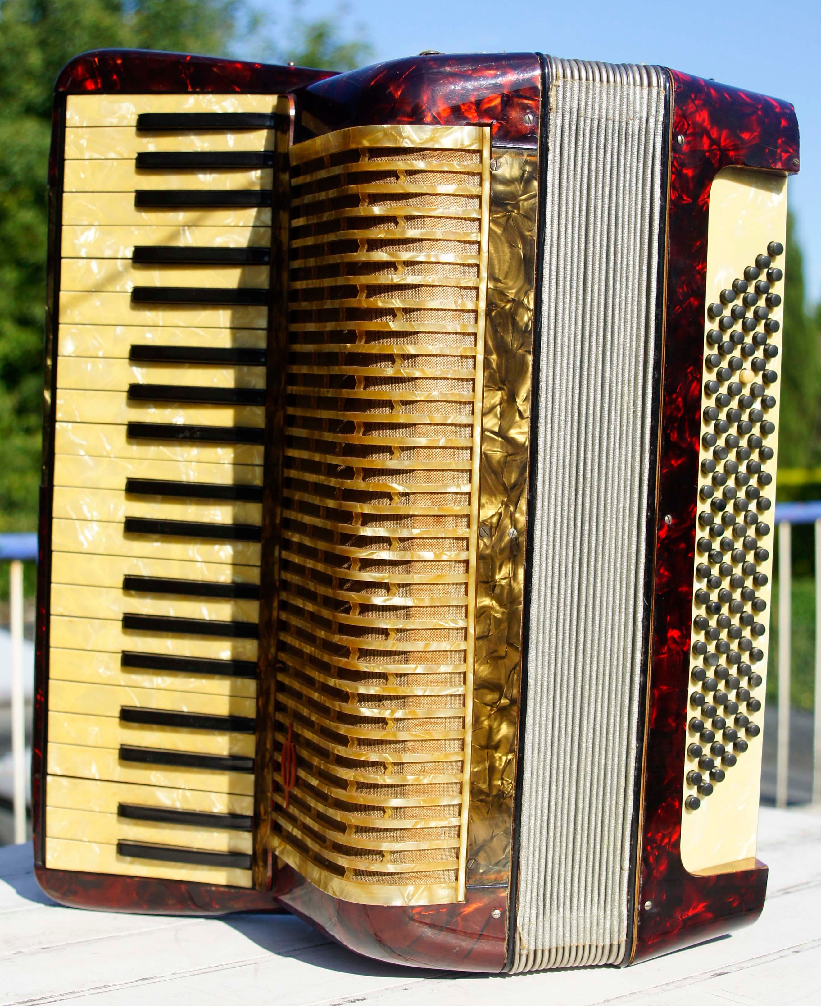 Modified accordion Hohner? Model determination HOHNER enjoy music