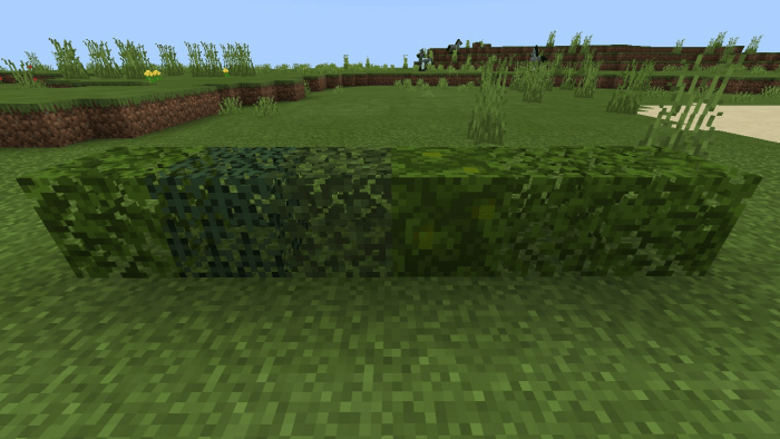 Move Shaders (Android/iOS) Minecraft PE Texture Packs