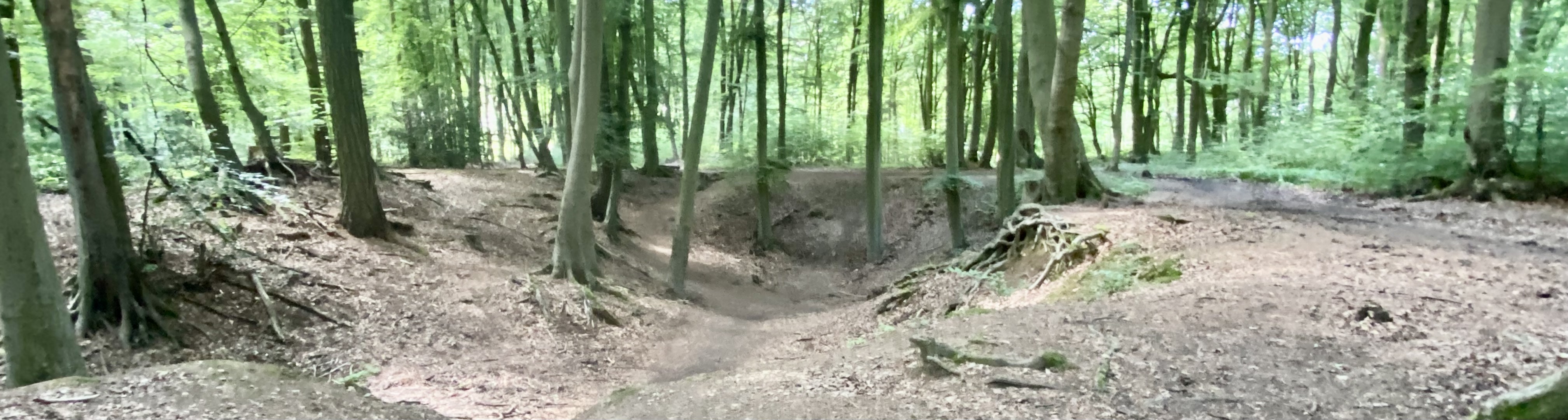 1. Marathon durch den Hollager Bombentrichter, 27.07.2024 my.race