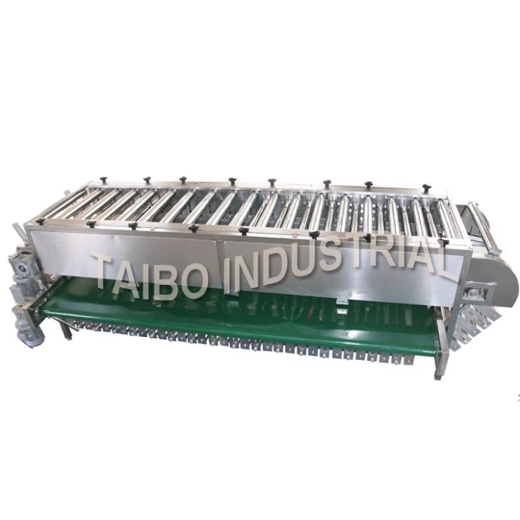China Orange Grading Machine Suppliers and Manufacturers Price Taibo Industrial