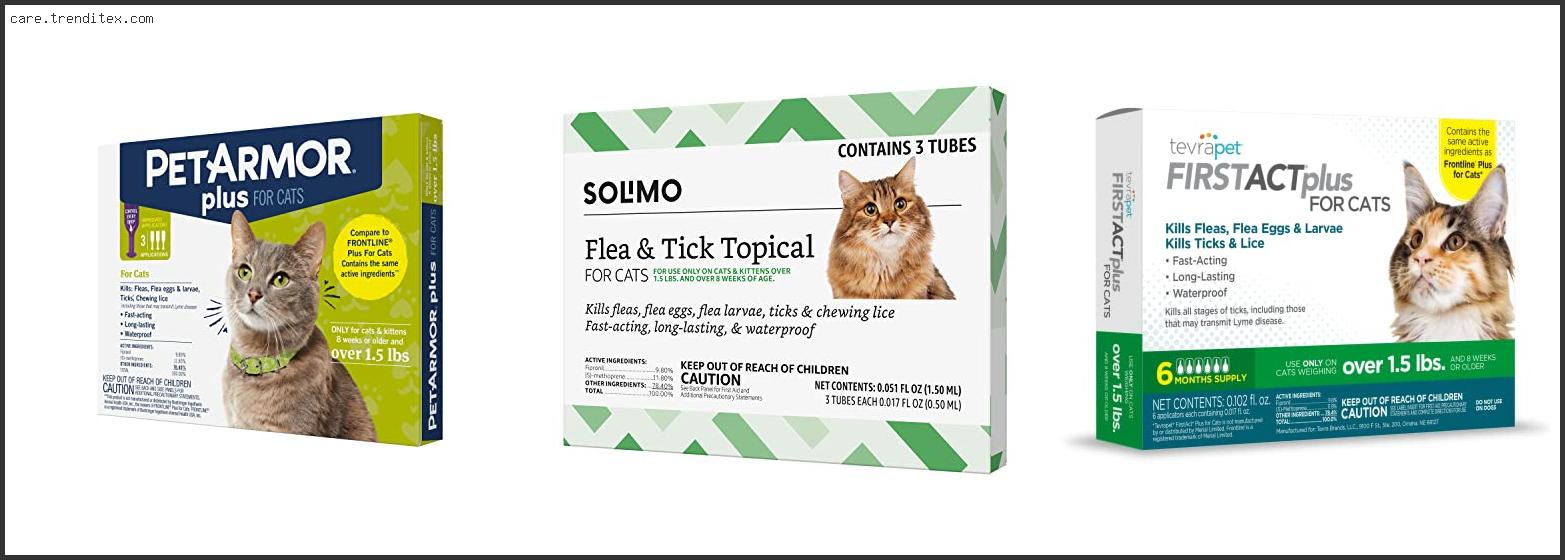 Top 10 Best Chewable Flea And Tick For Cats To Buy Online My TrendiTex