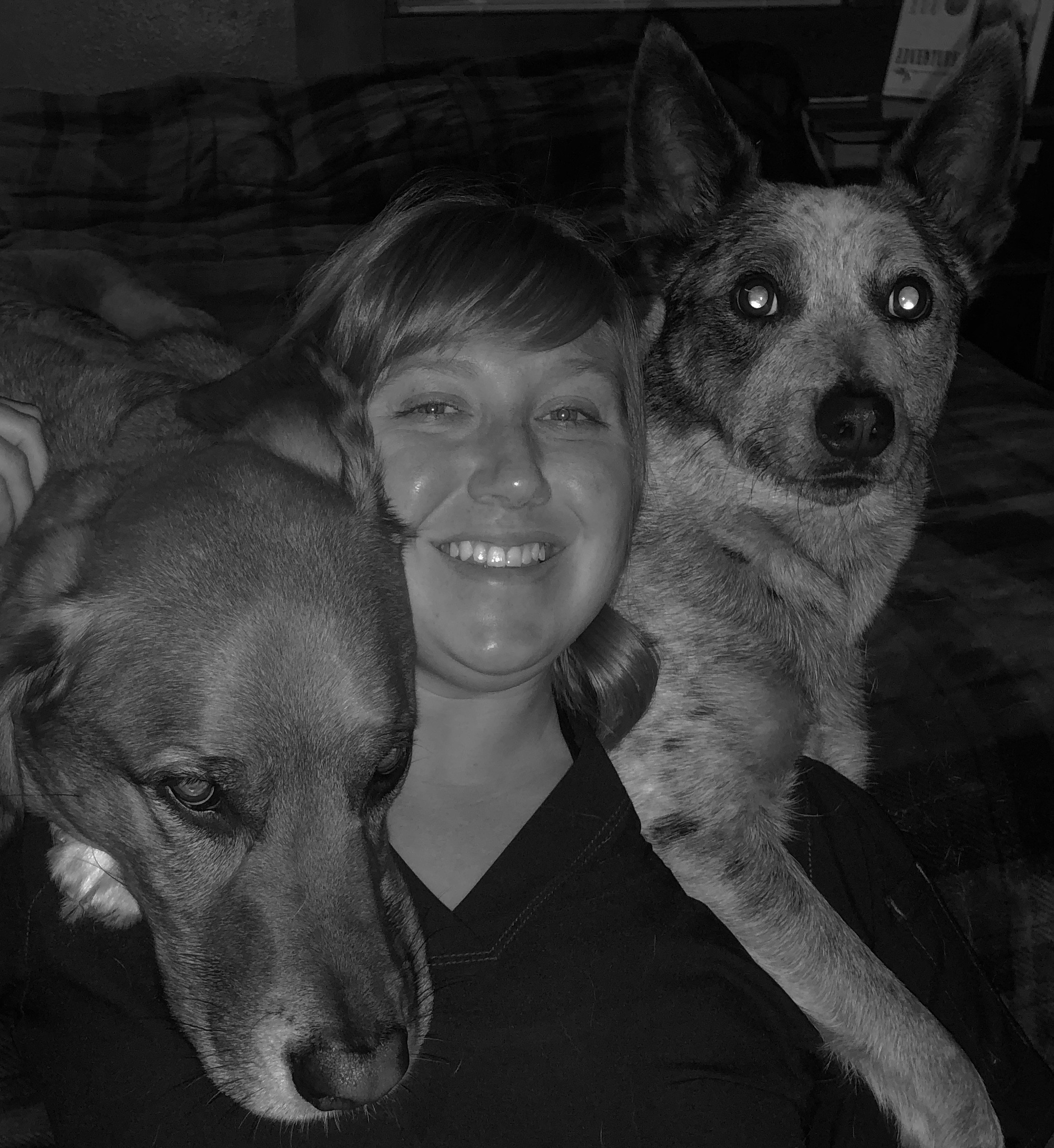 Blue Grass Veterinary Hospital Veterinarian in Blue Grass, IA US