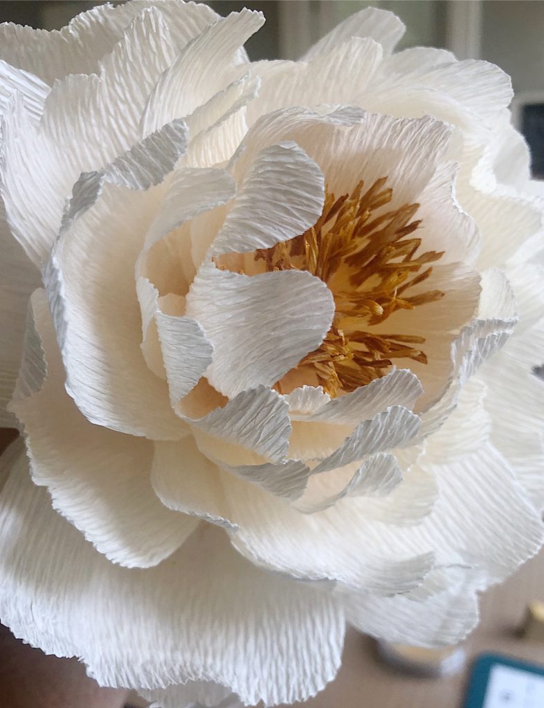 How Do I Make Large Crepe Paper Flowers Best Flower Site