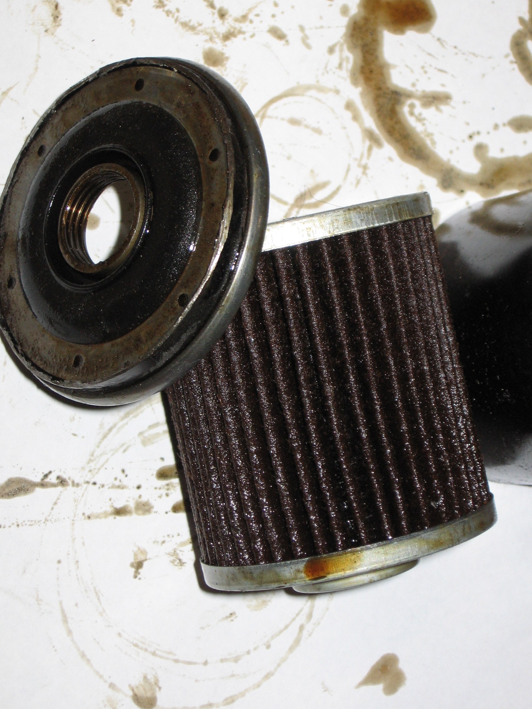 Beck Arnley 0418065 Cut Open Bob Is The Oil Guy