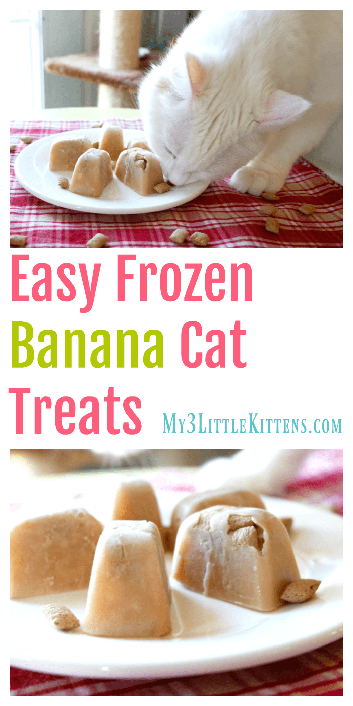 Easy Frozen Banana Cat Treats My 3 Little Kittens