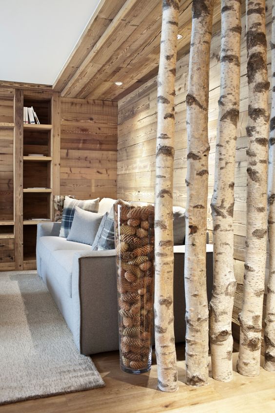 Birch Tree Decors That Will Freshen Up Yous Space