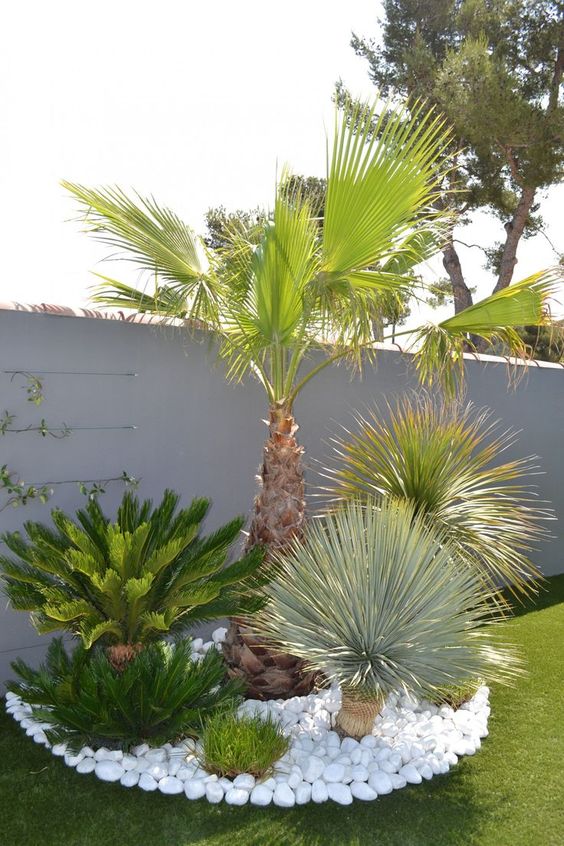 Wonderful Landscaping Ideas With White Pebbles And Stones Page 2 of 3