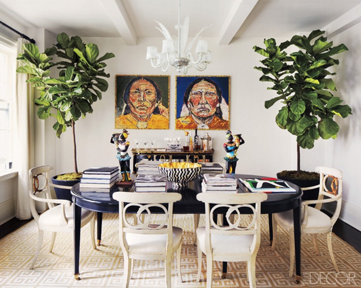 Fascinating Indoor Trees That Will Help You Enliven Your Space