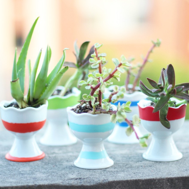 DIY Mini Planter Ideas That Look Super Cute