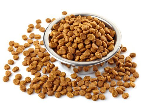 Carbs in Dog and Cat Food What Exactly Are They? My Animals