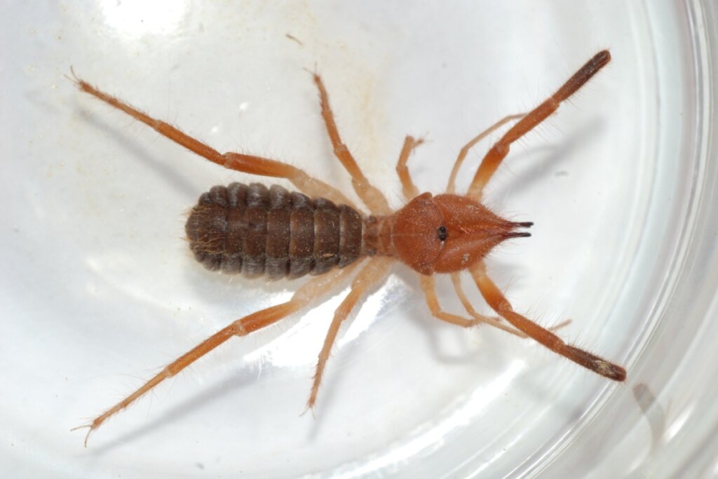 109YearOld Man Knits Tiny Sweaters to Help Penguins My Animals