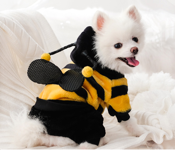 Cute Pet Dog Bee Costume MYanimec