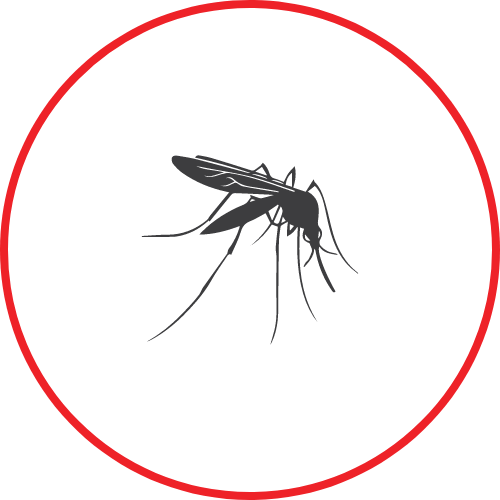 Pest Control Huntsville AL A Plus Pest Control Termite Control