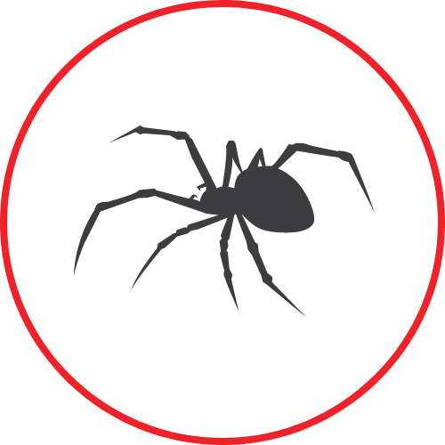 Pest Control Huntsville AL A Plus Pest Control Termite Control