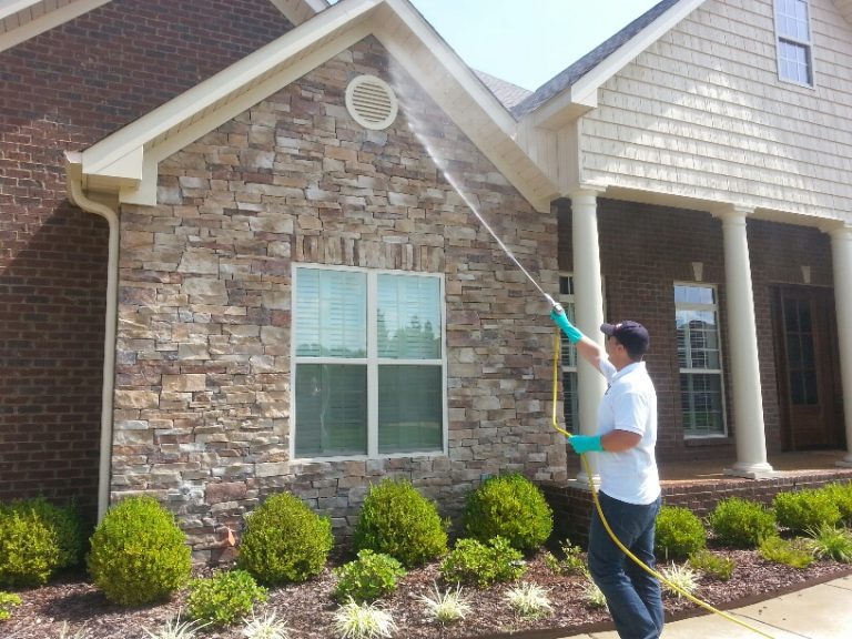 Pest Control Decatur AL My A Plus Pest Control