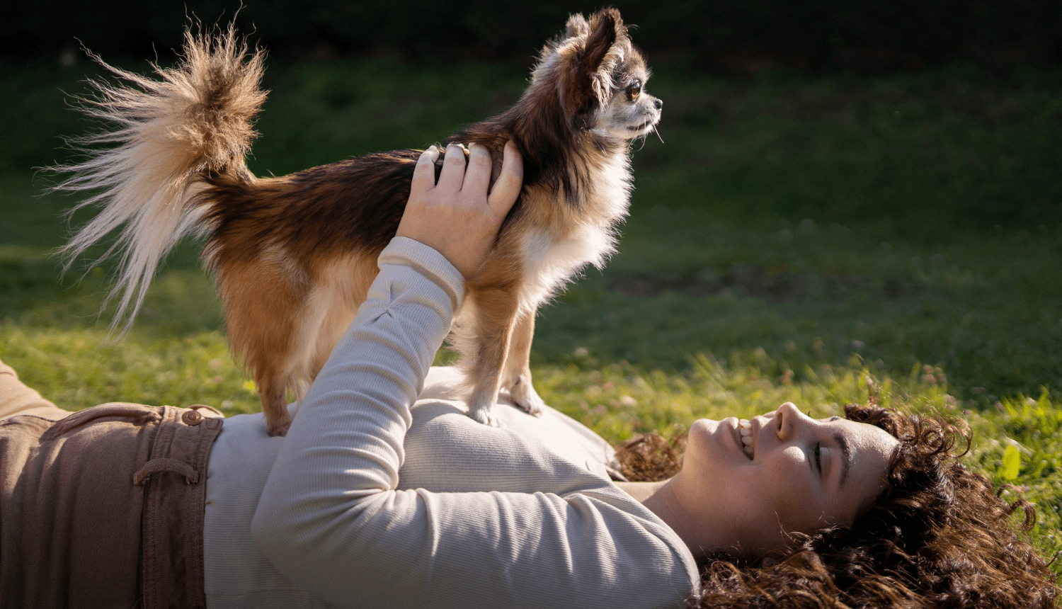 Astrological Pets Best Companion Animals for Each Zodiac Sign