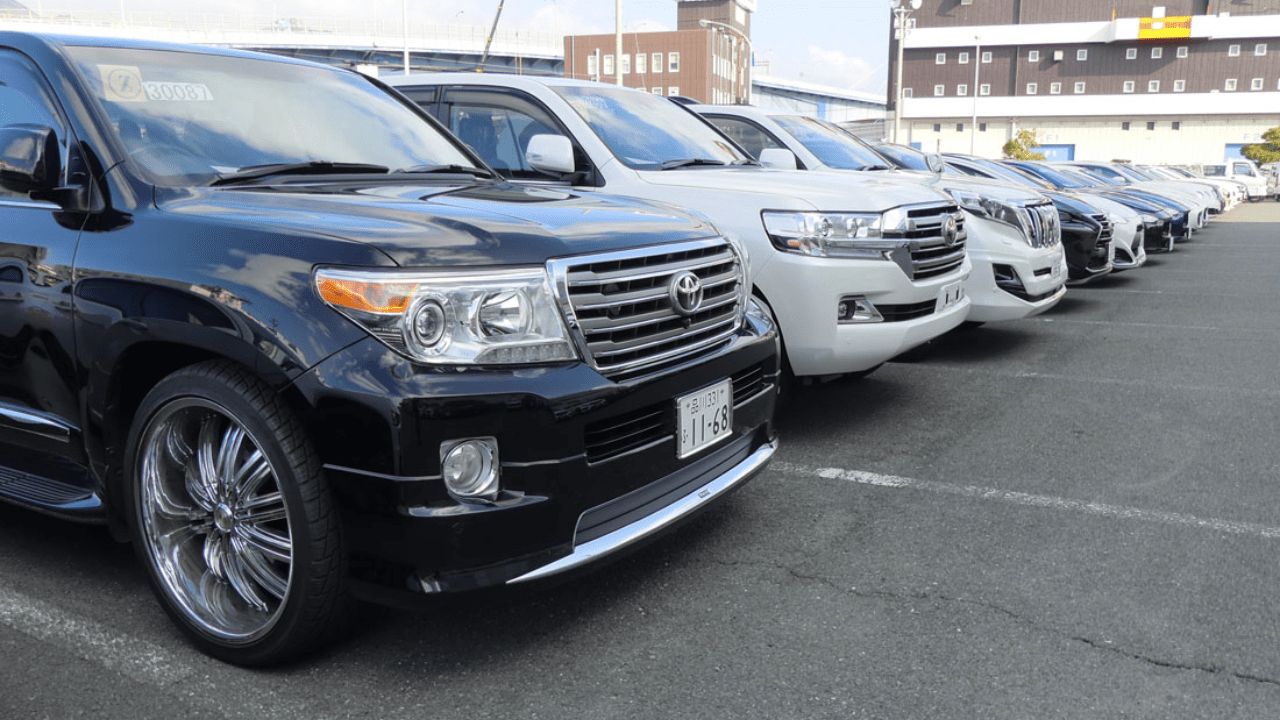 Why You Need To Know Auction Sheet Grades