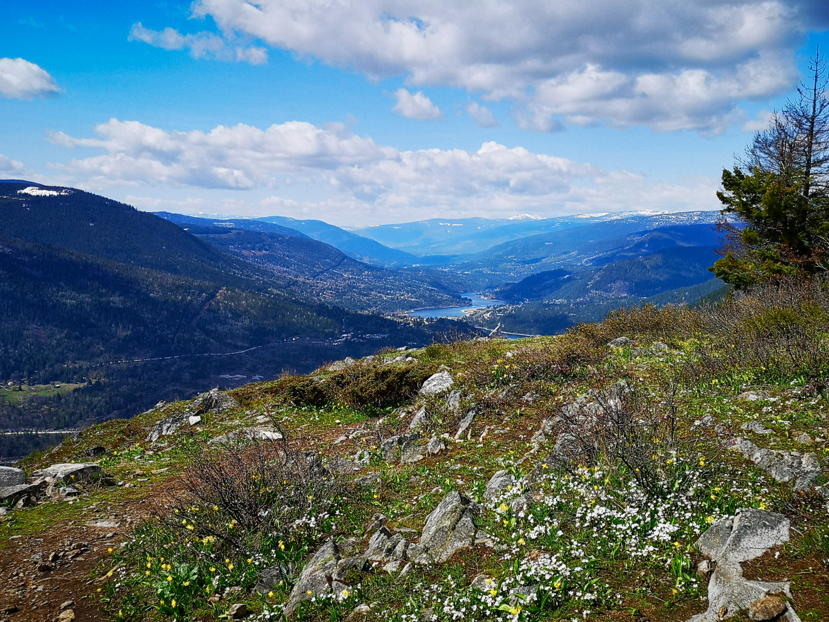 3 fairly easy hikes in Nelson BC with beautiful views