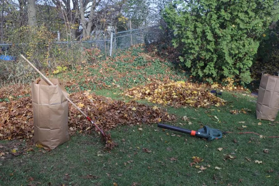 Leaf Blower vs Rake Which Is Better, and Why? My Backyard Life