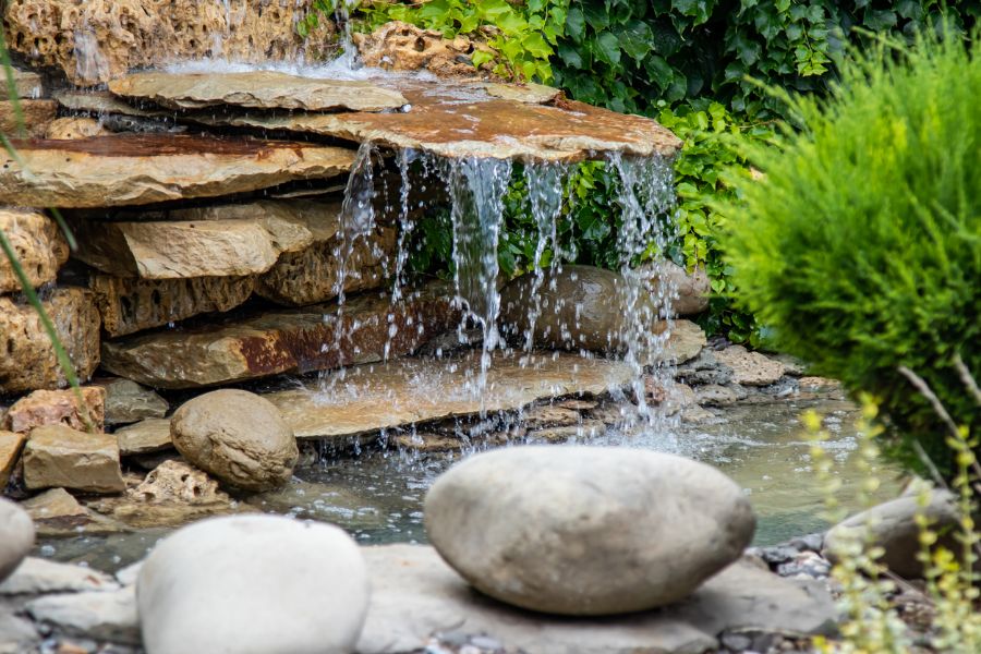 How to Get Rid of Frogs in Fish Ponds (6 Effective Methods) My