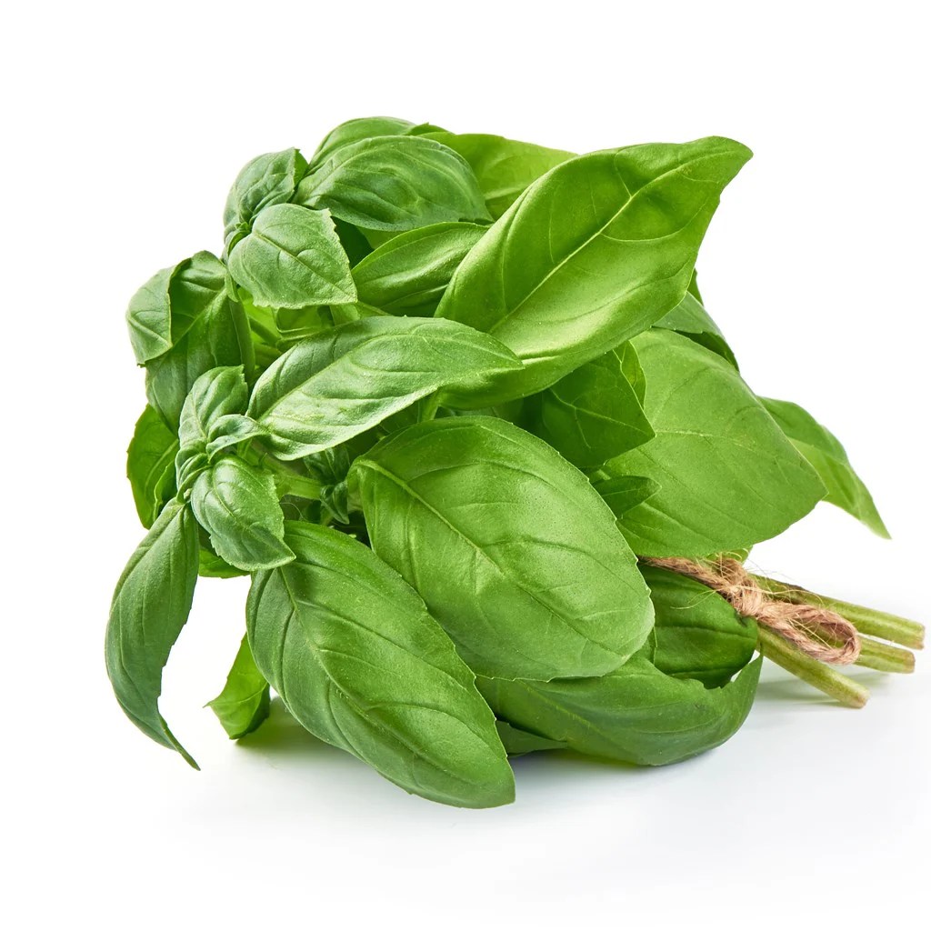Organic Basil Herb Seeds