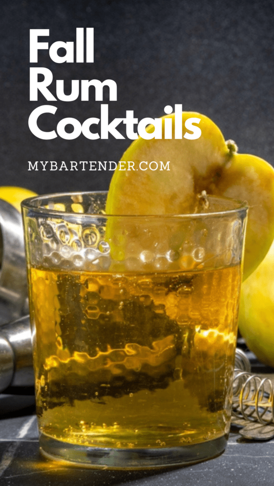 15 Best Rum Cocktails for the Fall Season