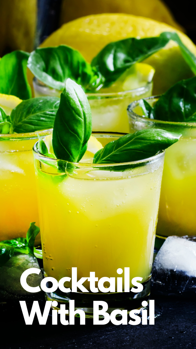 13 Best Cocktails with Basil to Drink