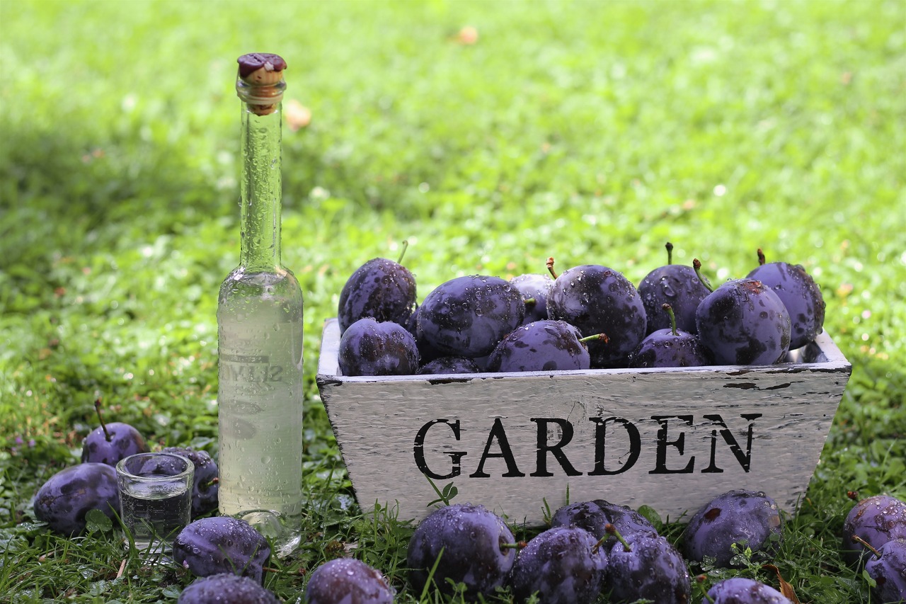 What Alcohol Goes With Root Beer?