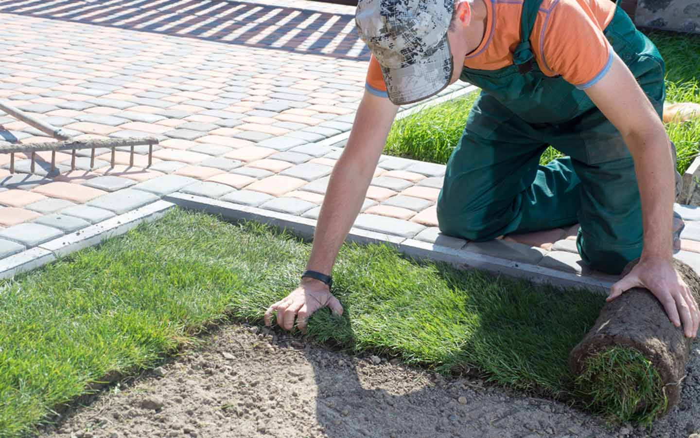 Landscaping Companies in Dubai Proscape, Desert Ink & More MyBayut