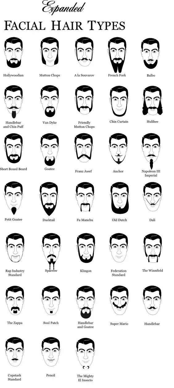 Insight Into The Different Beard Textures And Types My Beard Gang