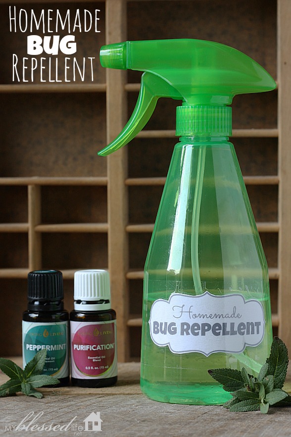Homemade Mosquito Yard Spray With Epsom Salt Pin by Melinda Fleming