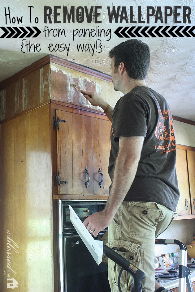 How To Remove Wallpaper From Government Phone at Bonita Estes blog